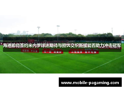 海港即将签约米内罗球迷期待与担忧交织新援能否助力冲击冠军