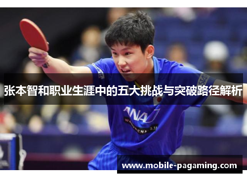 张本智和职业生涯中的五大挑战与突破路径解析