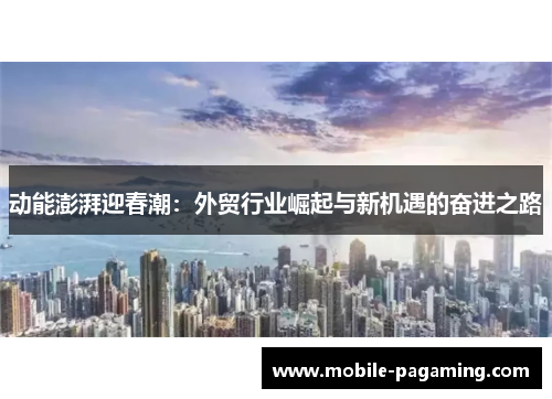 动能澎湃迎春潮：外贸行业崛起与新机遇的奋进之路