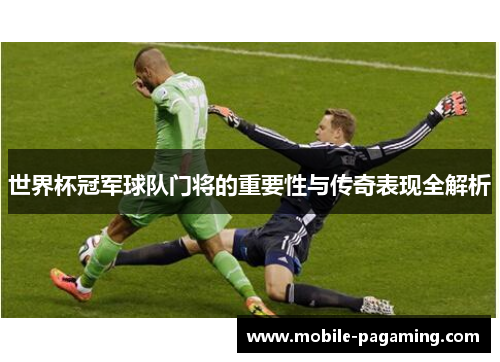 世界杯冠军球队门将的重要性与传奇表现全解析