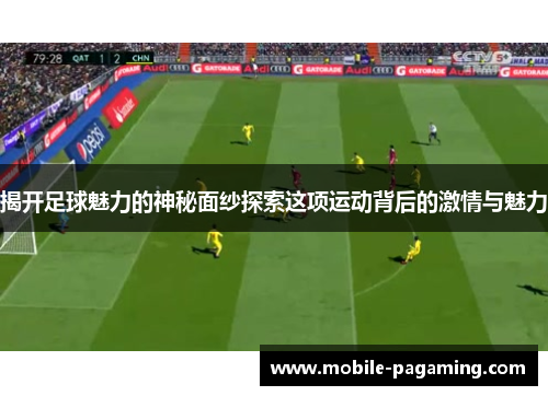 揭开足球魅力的神秘面纱探索这项运动背后的激情与魅力