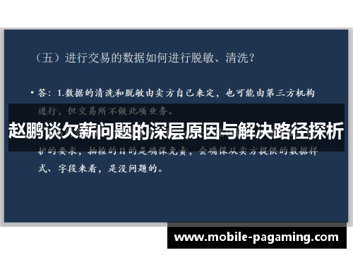 赵鹏谈欠薪问题的深层原因与解决路径探析