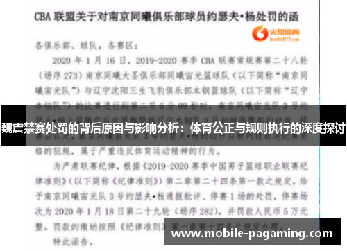 魏震禁赛处罚的背后原因与影响分析:体育公正与规则执行的深度探讨 魏震禁赛处罚的背后原因与影响分析:体育公正与规则执行的深度探讨