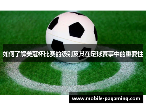 如何了解美冠杯比赛的级别及其在足球赛事中的重要性