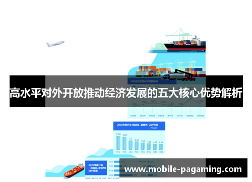 高水平对外开放推动经济发展的五大核心优势解析 高水平对外开放推动经济发展的五大核心优势解析