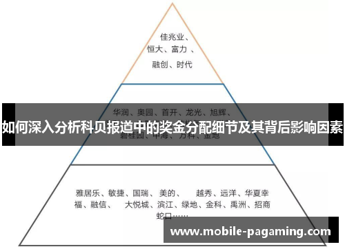 如何深入分析科贝报道中的奖金分配细节及其背后影响因素