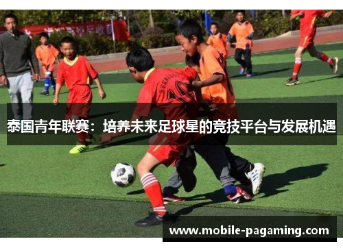 泰国青年联赛：培养未来足球星的竞技平台与发展机遇