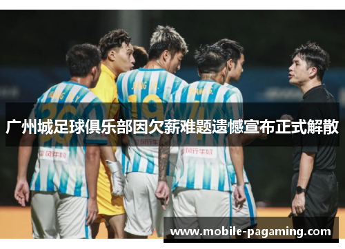 广州城足球俱乐部因欠薪难题遗憾宣布正式解散 广州城足球俱乐部因欠薪难题遗憾宣布正式解散