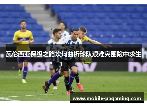 瓦伦西亚保级之路坎坷曲折球队艰难突围险中求生 瓦伦西亚保级之路坎坷曲折球队艰难突围险中求生