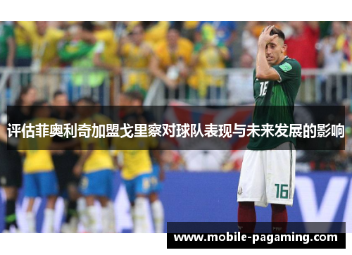 评估菲奥利奇加盟戈里察对球队表现与未来发展的影响 评估菲奥利奇加盟戈里察对球队表现与未来发展的影响