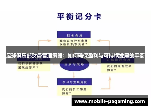 足球俱乐部财务管理策略:如何确保盈利与可持续发展的平衡 足球俱乐部财务管理策略:如何确保盈利与可持续发展的平衡