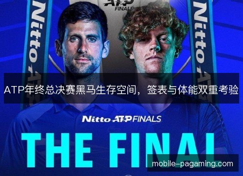 ATP年终总决赛黑马生存空间,签表与体能双重考验 ATP年终总决赛黑马生存空间,签表与体能双重考验