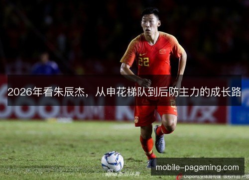 2026年看朱辰杰，从申花梯队到后防主力的成长路